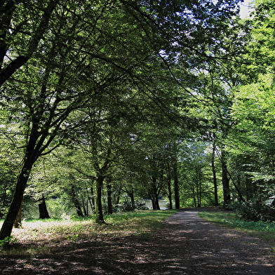 Lac et Fôret des Sept Chevaux