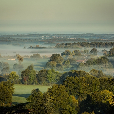 Circuit Gravel n°4 (rouge) - La Voie Royale des bois de But
