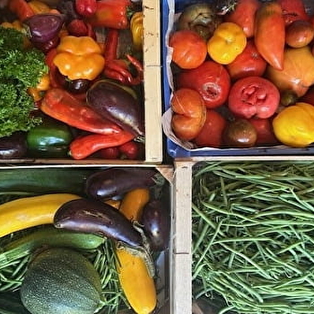 Permaculture jardin bio graines anciennes Bardy Jean Jacques  - LA RESIE-SAINT-MARTIN