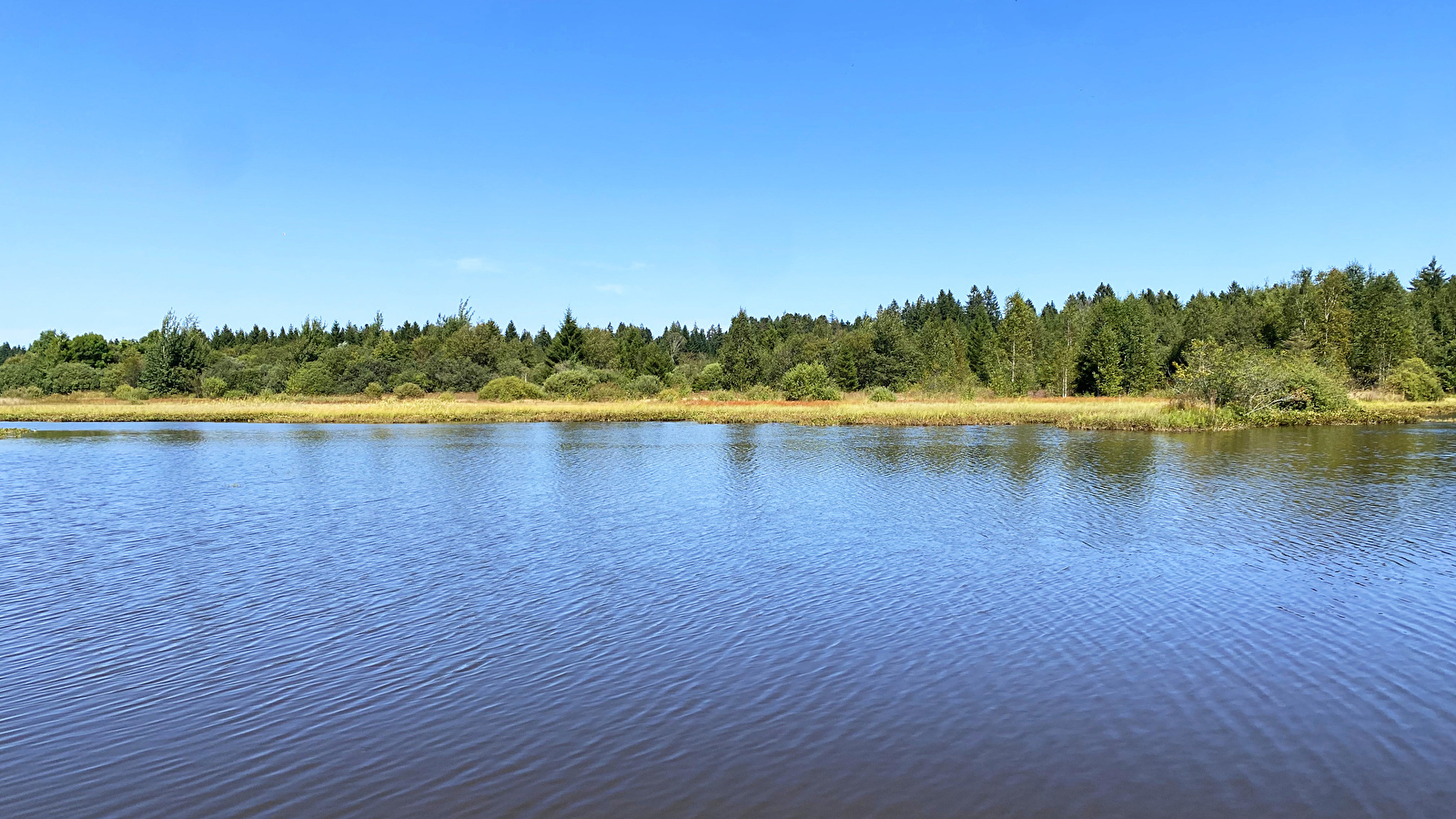 Étang Fontaine Carré