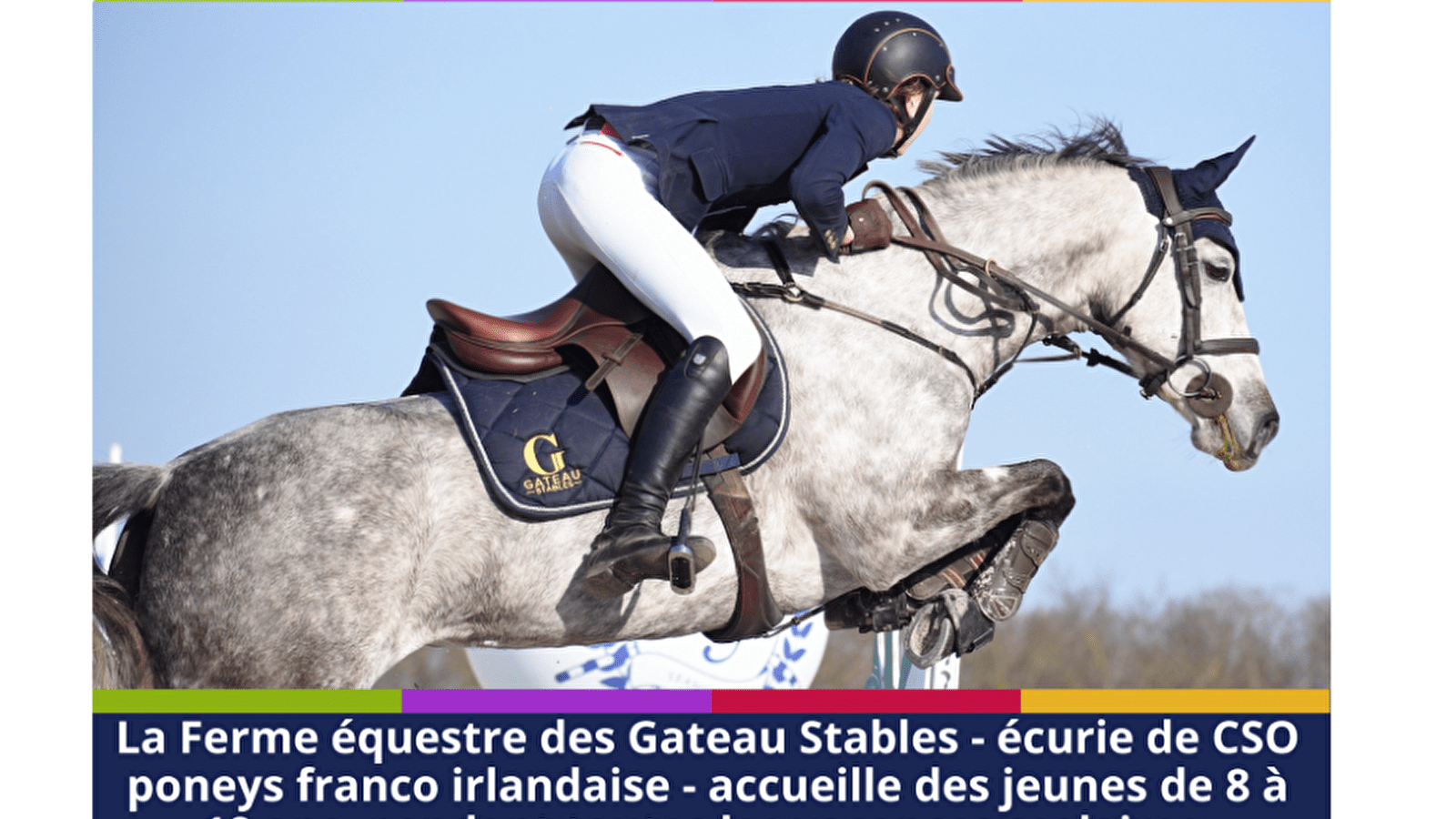 Stages d'équitation en Anglais weekend ou à la semaine