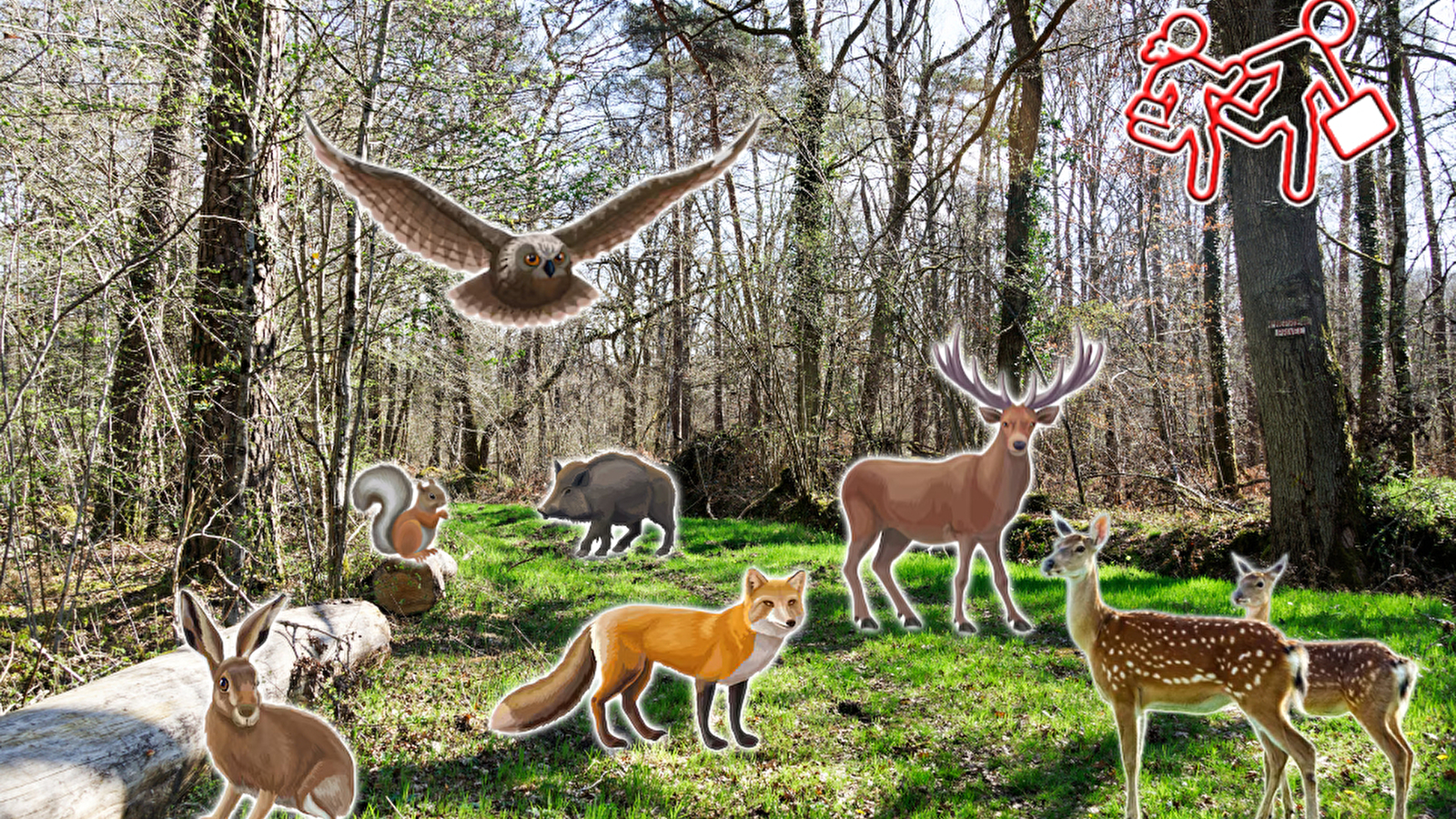 Les Pas Curieux de Vergigny