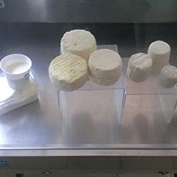 GAEC de la Baravelle - AZY-LE-VIF