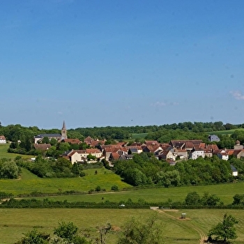 Les Clématites - ETAULE