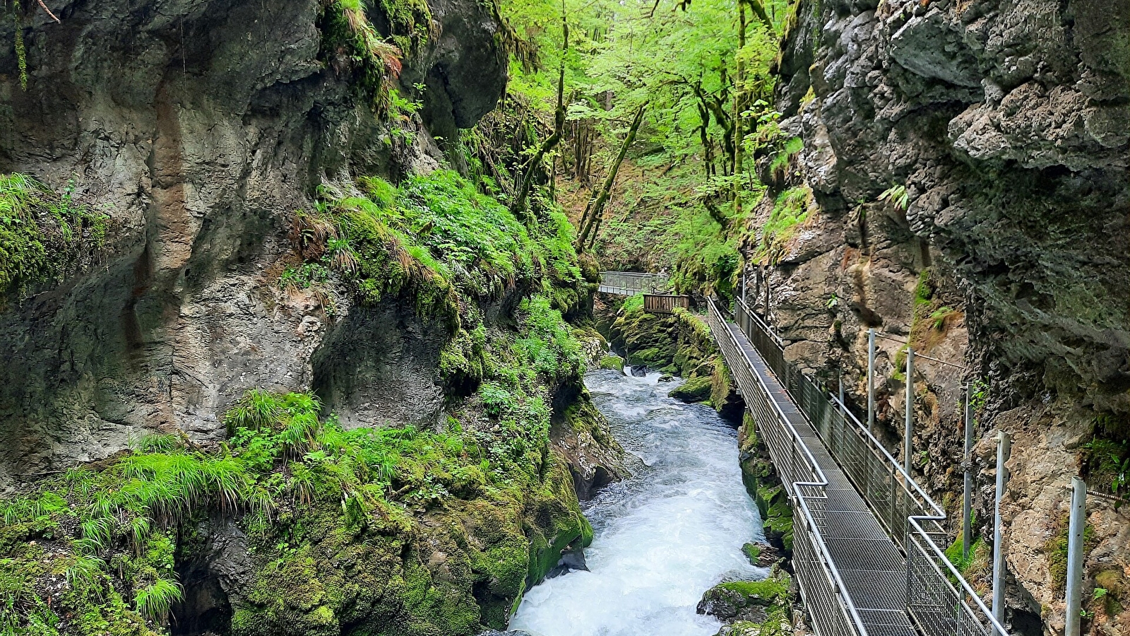 Le Crêt Pourri - 6B