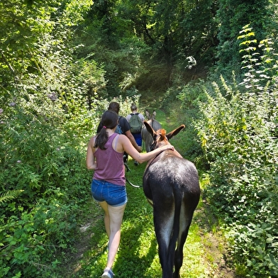 L'ÂÔMA (L'Âne Ôdacieux Médiation animale) 