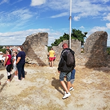 Vestiges du Château des Ducs de Bourgogne - CHATILLON-SUR-SEINE