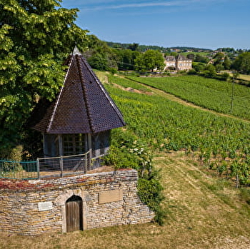 Des carrières de la Lie à la Solitude - Prissé - PRISSE