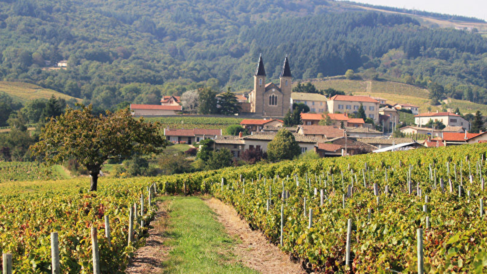 Les sentiers du Gaulois
