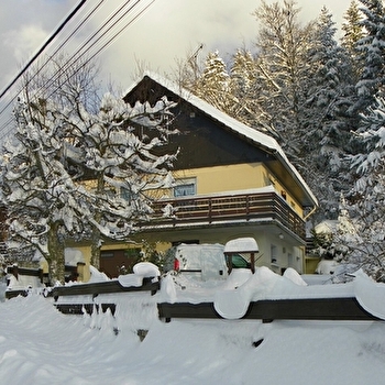 Meublé les Sapins - Mme Gay-Thevenin - MORBIER