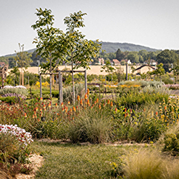 Atelier: La découverte des écosystèmes du Doubs à la Saline royale - ARC-ET-SENANS