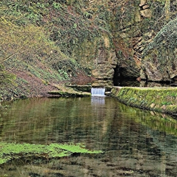 La Foulotière - 104R - SAMPANS