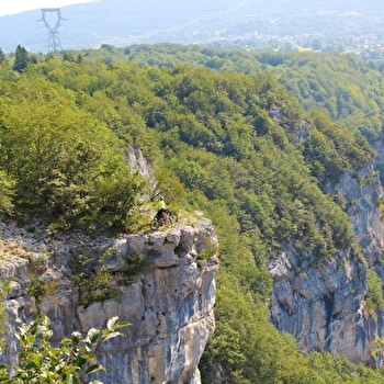 Parcours VTTAE 53 bleu - Les Cadettes de la Ragiaz - Espace FFC Ain Forestière - PLATEAU D'HAUTEVILLE