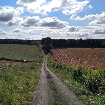 Les sentiers des Orchidées - FLEY