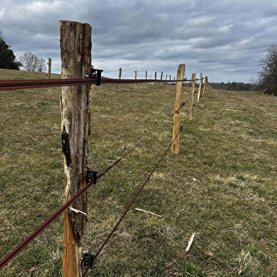 EARL derriere les granges