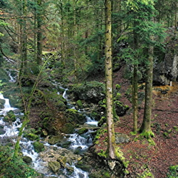 Source de l'Angillon - LES NANS