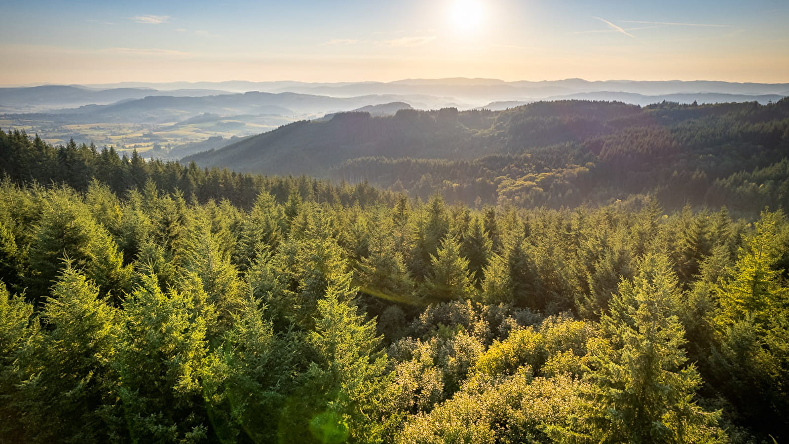 Circuit des digitales