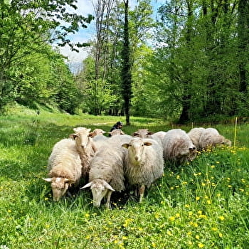La Bergerie du Champ Devant - BALANOD