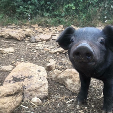 Ferme de l'Âne Eria - Parcours de découverte