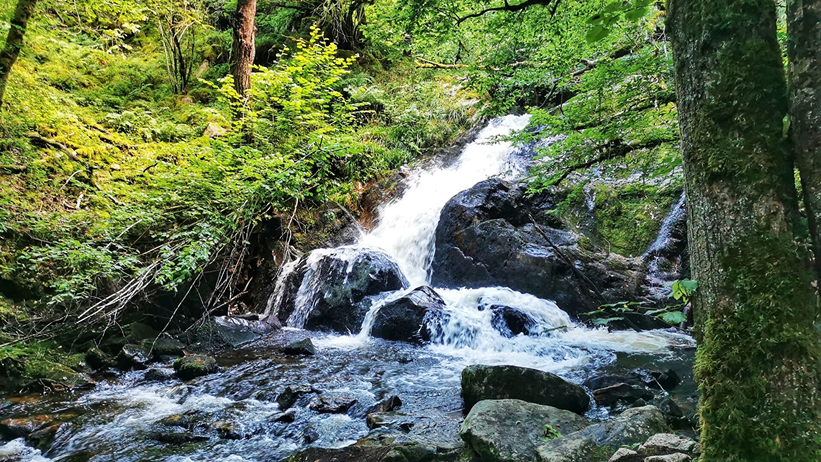 Les Gorges de La Canche
