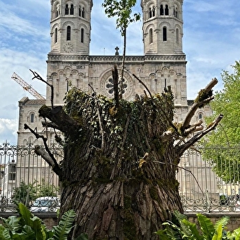 MâconCentré - Visite historique de Mâcon - MACON