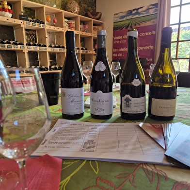 Cours de dégustation et d'oenologie en Côte de Nuits