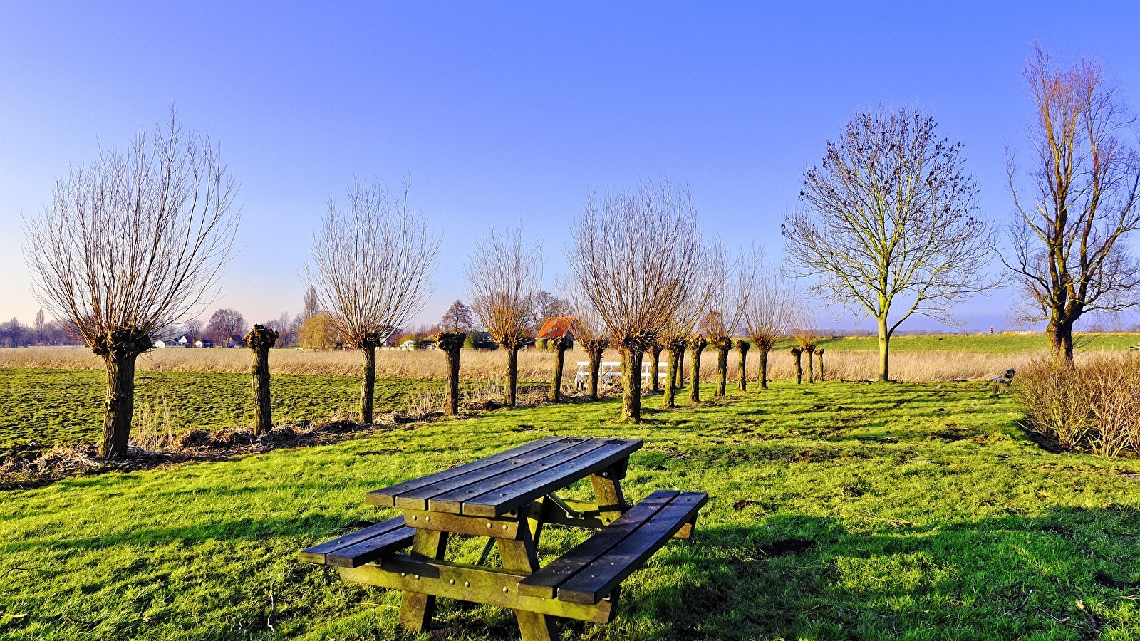 Aire de pique-nique de la Visitation à Ornans