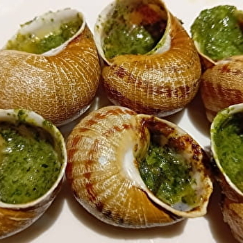 Ferme des Bruyères - BONNENCONTRE