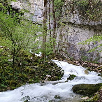 Source du Bief de la Ruine et Creux des Joyaux - FONCINE-LE-HAUT