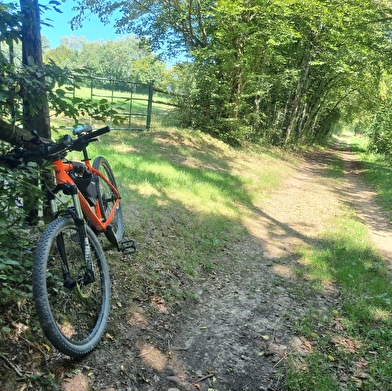 Circuit VTTAE n°8 (rouge) - Sur les crêtes de la Vallée du Sevron