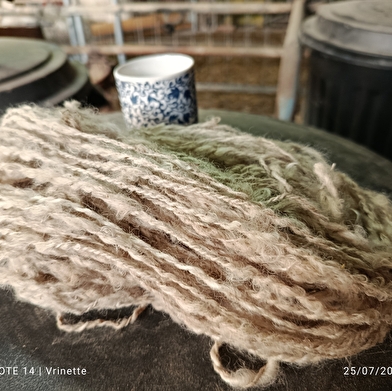 Ateliers initiation de filage au rouet - 2 formules