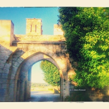 Montréal, une cité au cœur des croisades - MONTREAL