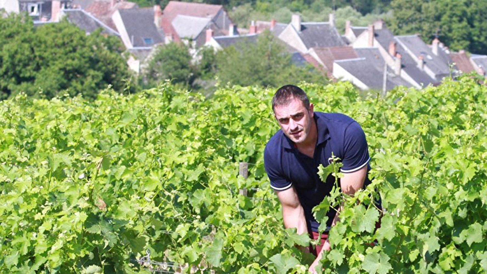 Domaine Jean-Pierre Bailly