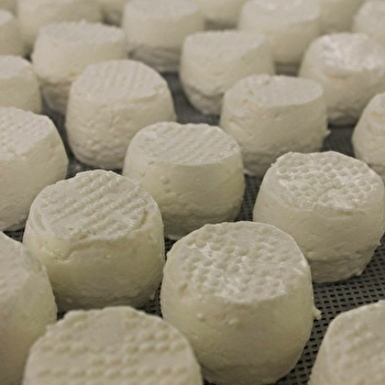 Chèvrerie des Filletières - CHENOVES