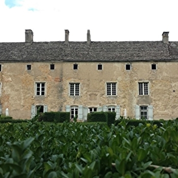 Château d'Ozenay - OZENAY