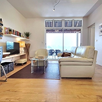 L'Espérance vue sur la Loire et la Vigne 2 - POUILLY-SUR-LOIRE