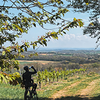 St Vit-fait Bien fait - SAINT-VIT