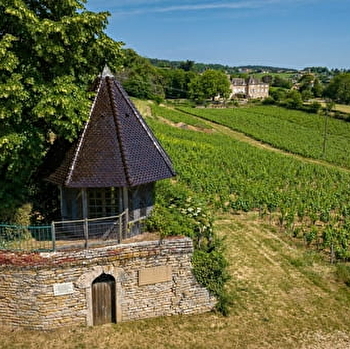 Des carrières de la Lie à la Solitude - La Roche-Vineuse - LA ROCHE-VINEUSE