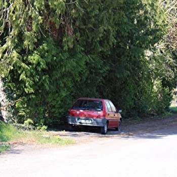 Aire de pique-nique de Segrois - SEGROIS