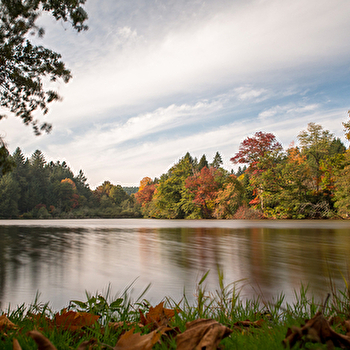L'étang de la Vernée - DOMPIERRE-LES-ORMES