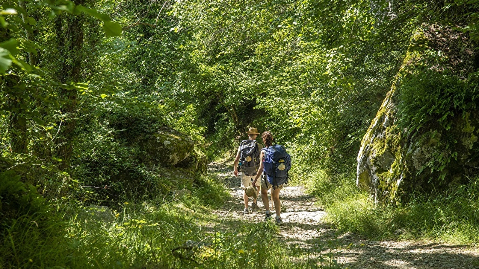 Portion du chemin de Saint-Jacques de Compostellle (GR765)