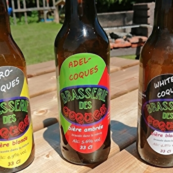 Brasserie des Coques - COURCELLES