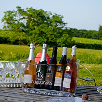 Initiation à l'oenologie ! - LUGNY