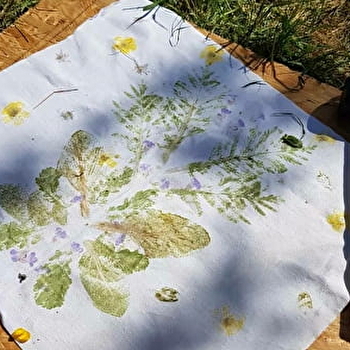 L.M. Chardon - AIGNAY-LE-DUC