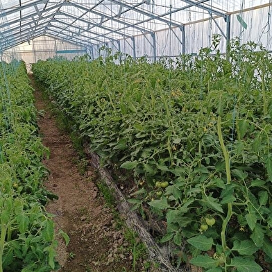 Au Potager des Magny