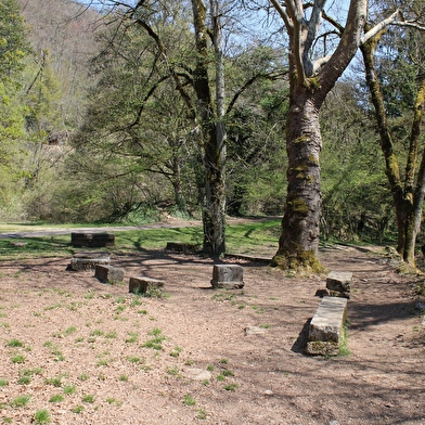 Aire de pique-nique d'Arcenant 