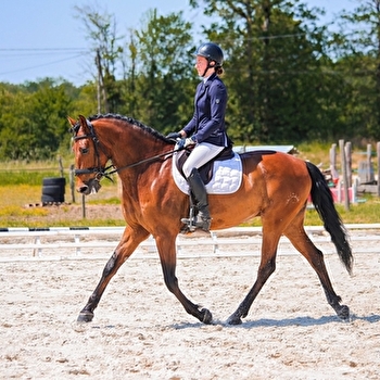 Ecurie Astola - MEZILLES