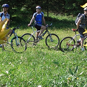 Les Seignots - n° 4 - LONGEVILLES-MONT-D'OR