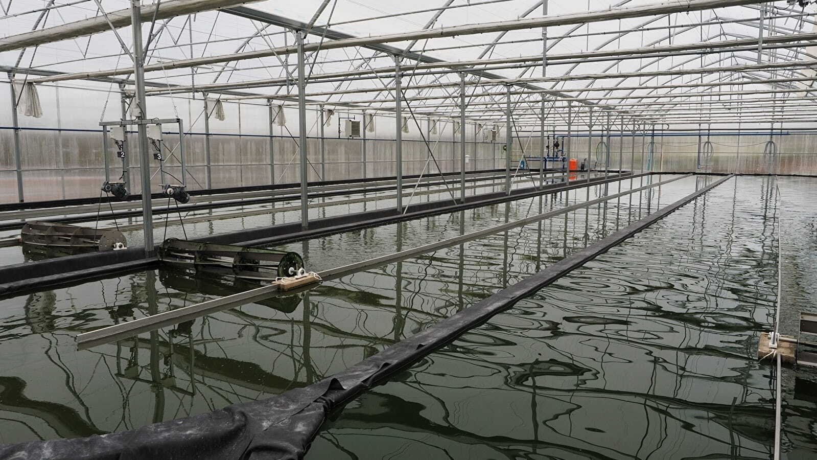 Visite ferme spiruline et méthanisation