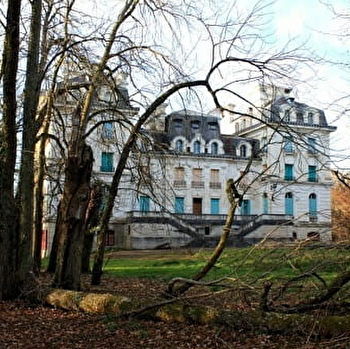 Promenade à Sainpuits dans les vallons de Forterre vers la voie romaine - SAINPUITS
